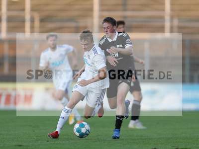 Bild-ID: 2304805