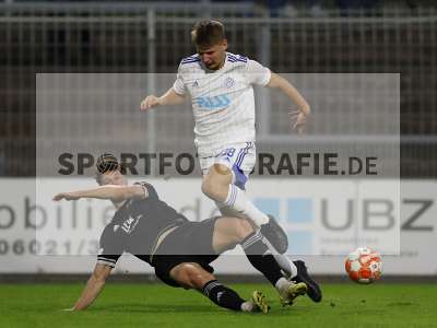 Bild-ID: 2304919