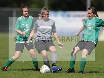 Bild-ID: 2305003