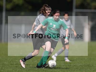 Bild-ID: 2305010
