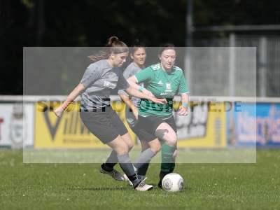 Bild-ID: 2305146