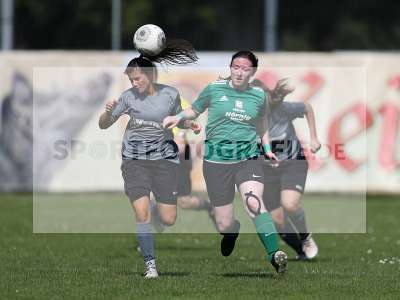 Bild-ID: 2305153
