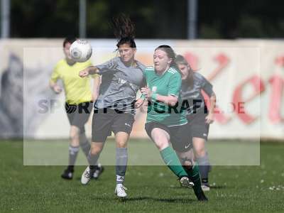 Bild-ID: 2305154