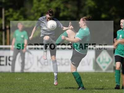 Bild-ID: 2305178