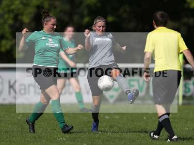 Bild-ID: 2305182
