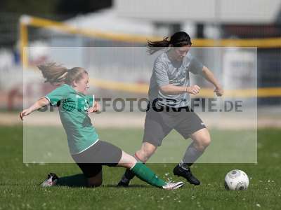 Bild-ID: 2305186
