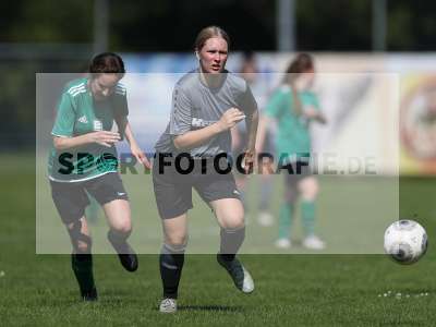 Bild-ID: 2305209
