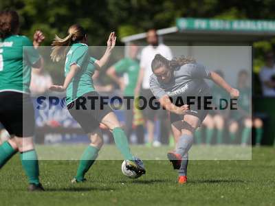Bild-ID: 2305213