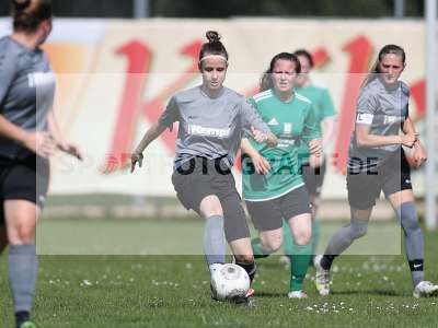 Bild-ID: 2305249