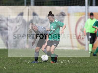 Bild-ID: 2305257