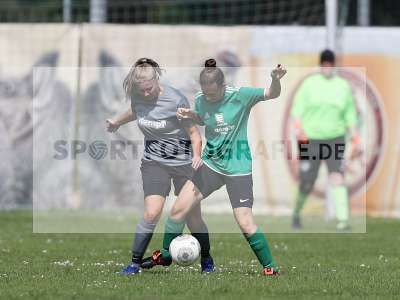 Bild-ID: 2305258