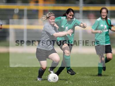 Bild-ID: 2305260