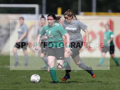 Bild-ID: 2305262