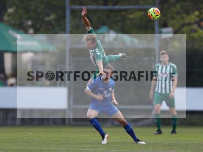Bild-ID: 2306538