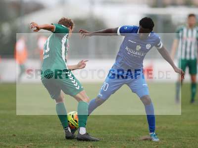 Bild-ID: 2306615