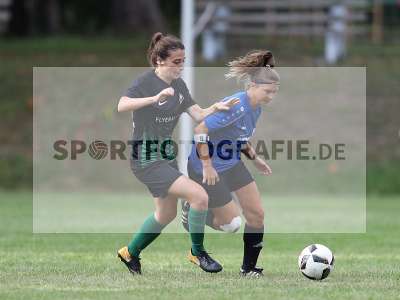 Bild-ID: 2306918