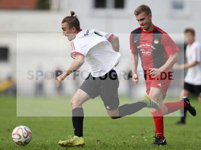 Bild-ID: 2307052