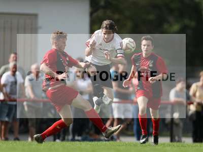 Bild-ID: 2307113