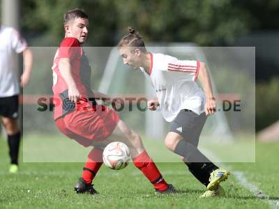 Bild-ID: 2307115