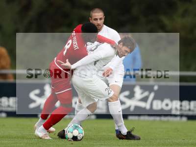 Bild-ID: 2307356