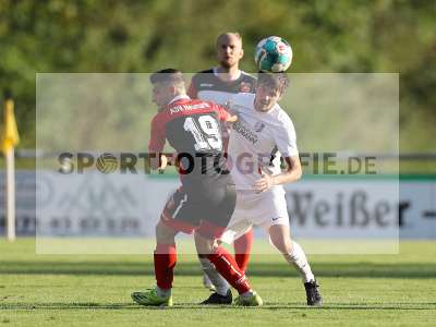 Bild-ID: 2307639