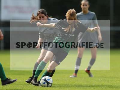 Bild-ID: 2307947