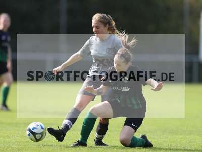 Bild-ID: 2307968