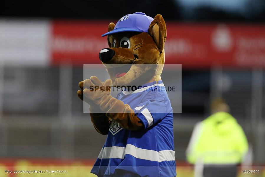 Maskottchen, Stadion am Schönbusch, Aschaffenburg, 05.10.2021, BFV, sport, action, Fussball, Deutschland, Oktober 2021, Saison 2021/2022, 4. Liga, Regionalliga Bayern, FCP, SVA, FC Pipinsried, SV Viktoria Aschaffenburg - Bild-ID: 2308444 Maskottchen, Stadion am Schönbusch, Aschaffenburg, 05.10.2021, BFV, sport, action, Fussball, Deutschland, Oktober 2021, Saison 2021/2022, 4. Liga, Regionalliga Bayern, FCP, SVA, FC Pipinsried, SV Viktoria Aschaffenburg - Bild-ID: 2308444