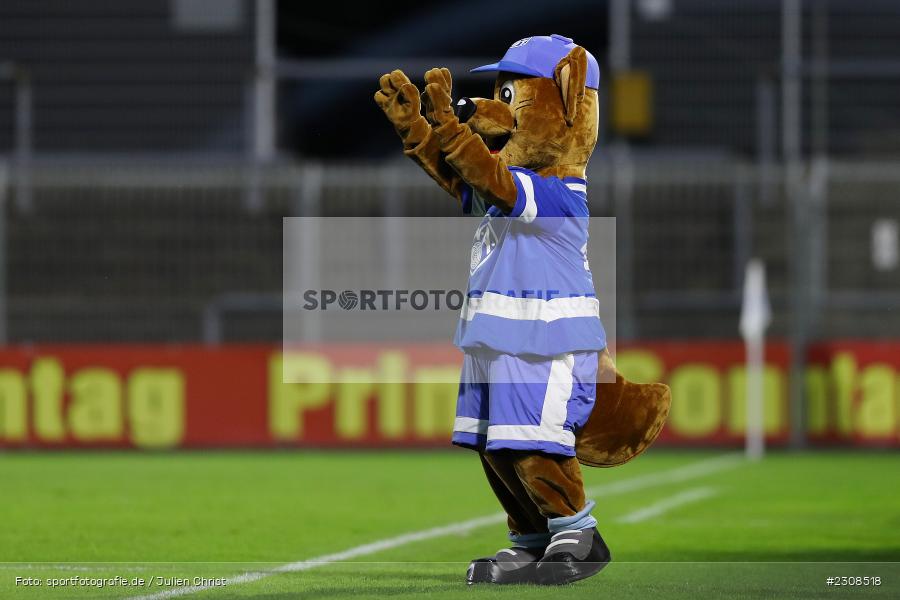 Maskottchen, Stadion am Schönbusch, Aschaffenburg, 05.10.2021, BFV, sport, action, Fussball, Deutschland, Oktober 2021, Saison 2021/2022, 4. Liga, Regionalliga Bayern, FCP, SVA, FC Pipinsried, SV Viktoria Aschaffenburg - Bild-ID: 2308518 Maskottchen, Stadion am Schönbusch, Aschaffenburg, 05.10.2021, BFV, sport, action, Fussball, Deutschland, Oktober 2021, Saison 2021/2022, 4. Liga, Regionalliga Bayern, FCP, SVA, FC Pipinsried, SV Viktoria Aschaffenburg - Bild-ID: 2308518