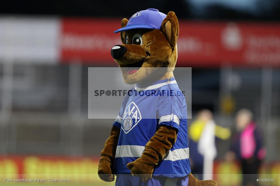 Maskottchen, Stadion am Schönbusch, Aschaffenburg, 05.10.2021, BFV, sport, action, Fussball, Deutschland, Oktober 2021, Saison 2021/2022, 4. Liga, Regionalliga Bayern, FCP, SVA, FC Pipinsried, SV Viktoria Aschaffenburg - Bild-ID: 2308520 Maskottchen, Stadion am Schönbusch, Aschaffenburg, 05.10.2021, BFV, sport, action, Fussball, Deutschland, Oktober 2021, Saison 2021/2022, 4. Liga, Regionalliga Bayern, FCP, SVA, FC Pipinsried, SV Viktoria Aschaffenburg - Bild-ID: 2308520
