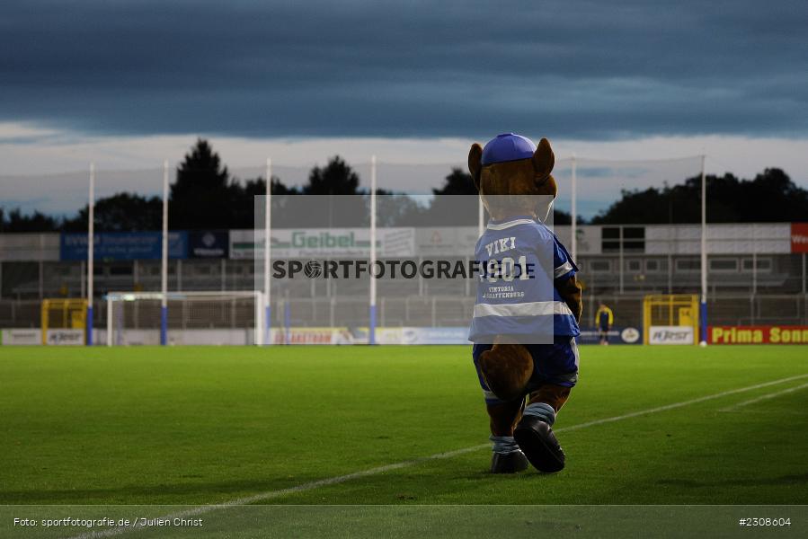 1901, Viki, Maskottchen, Stadion am Schönbusch, Aschaffenburg, 05.10.2021, BFV, sport, action, Fussball, Deutschland, Oktober 2021, Saison 2021/2022, 4. Liga, Regionalliga Bayern, FCP, SVA, FC Pipinsried, SV Viktoria Aschaffenburg - Bild-ID: 2308604 1901, Viki, Maskottchen, Stadion am Schönbusch, Aschaffenburg, 05.10.2021, BFV, sport, action, Fussball, Deutschland, Oktober 2021, Saison 2021/2022, 4. Liga, Regionalliga Bayern, FCP, SVA, FC Pipinsried, SV Viktoria Aschaffenburg - Bild-ID: 2308604