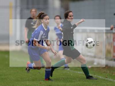 Bild-ID: 2308135