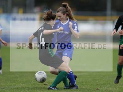 Bild-ID: 2308163