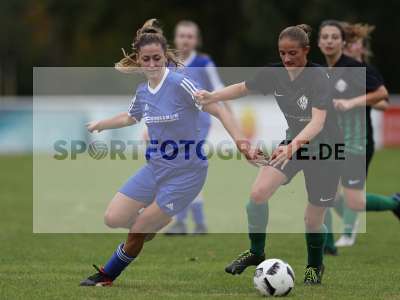Bild-ID: 2308174