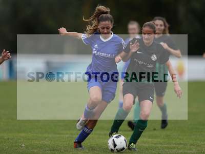 Bild-ID: 2308175