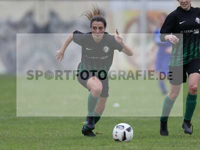 Bild-ID: 2308183