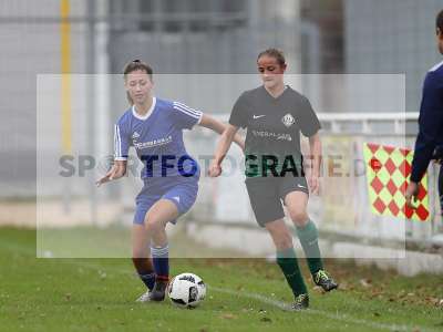 Bild-ID: 2308193