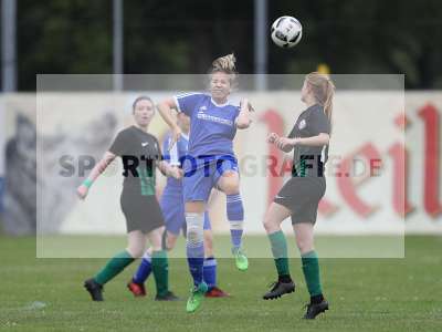Bild-ID: 2308203
