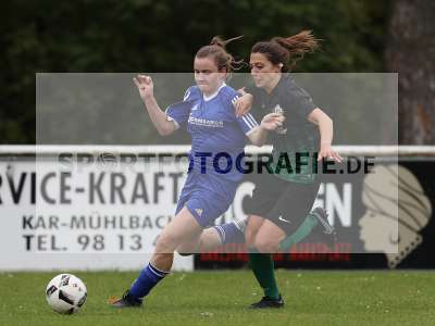 Bild-ID: 2308212