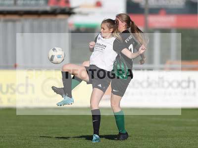 Bild-ID: 2309610