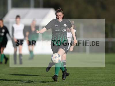 Bild-ID: 2309613