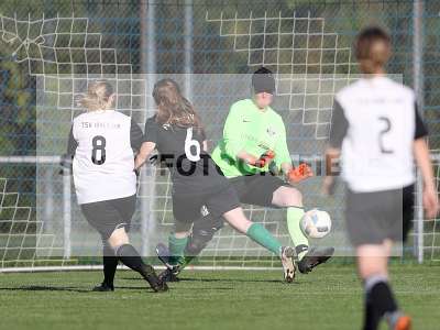 Bild-ID: 2309615