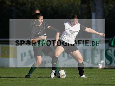 Bild-ID: 2309617