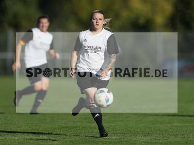 Bild-ID: 2309619