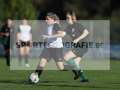 Bild-ID: 2309621