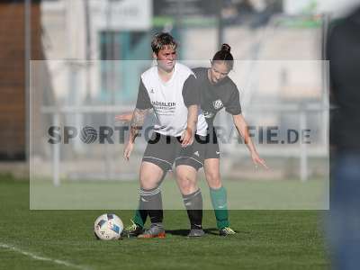 Bild-ID: 2309625