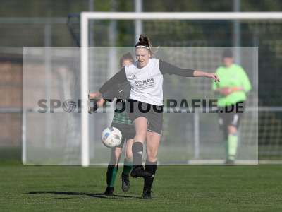 Bild-ID: 2309628