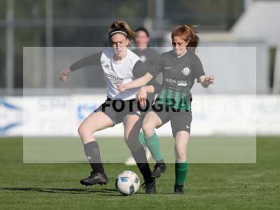 Bild-ID: 2309631