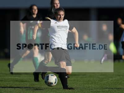 Bild-ID: 2309633