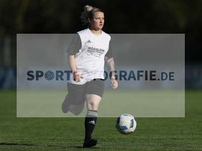 Bild-ID: 2309636